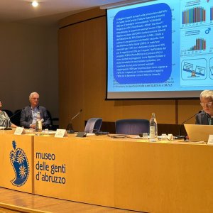 7. domenico cappellucci